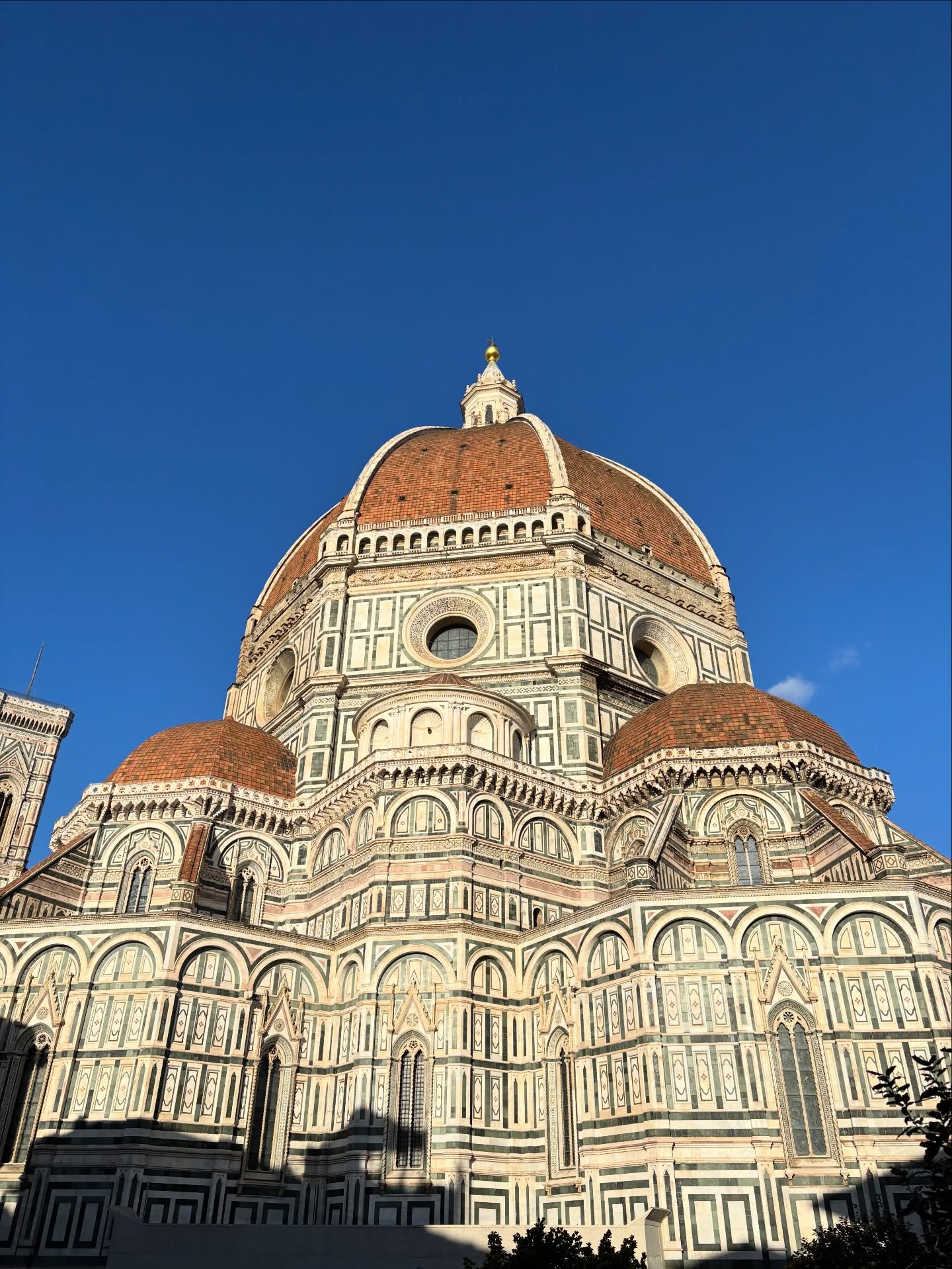 612428261 18066460448449077 8528080277020925917 n