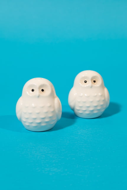 owls salt & pepper shaker set