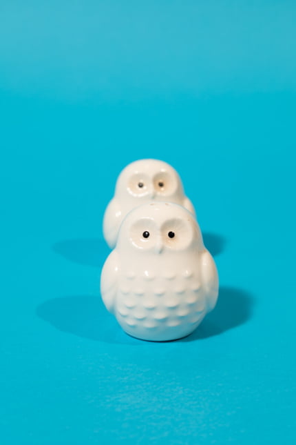 owls salt & pepper shaker set