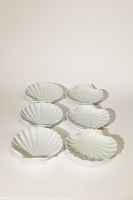 porcelain shell plate