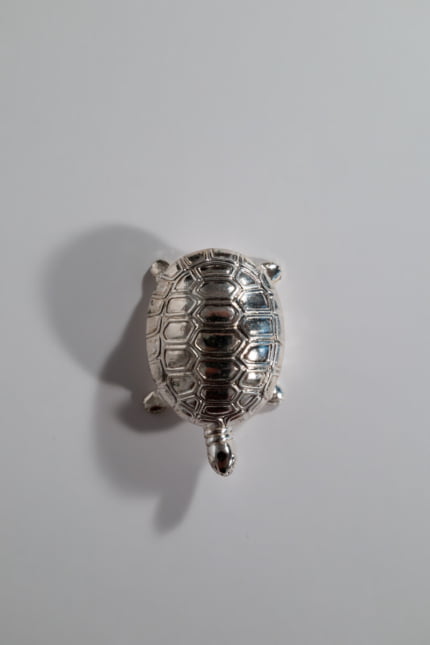 vintage turtle pill box
