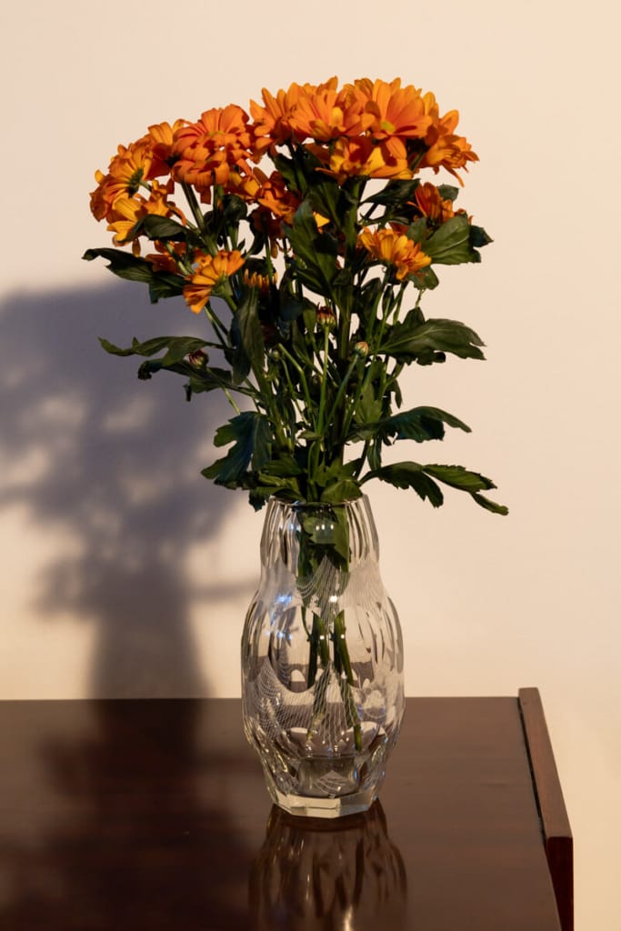 czech glass vase